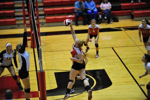 017SCSulDVB12.jpg