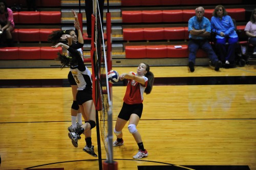 024SCSulDVB12.jpg