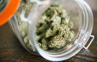 Cannabis Dispensary Opens in St. Clair
