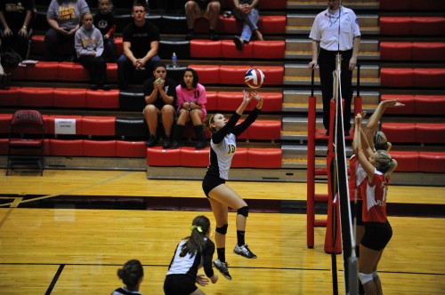 016SCSulDVB12.jpg