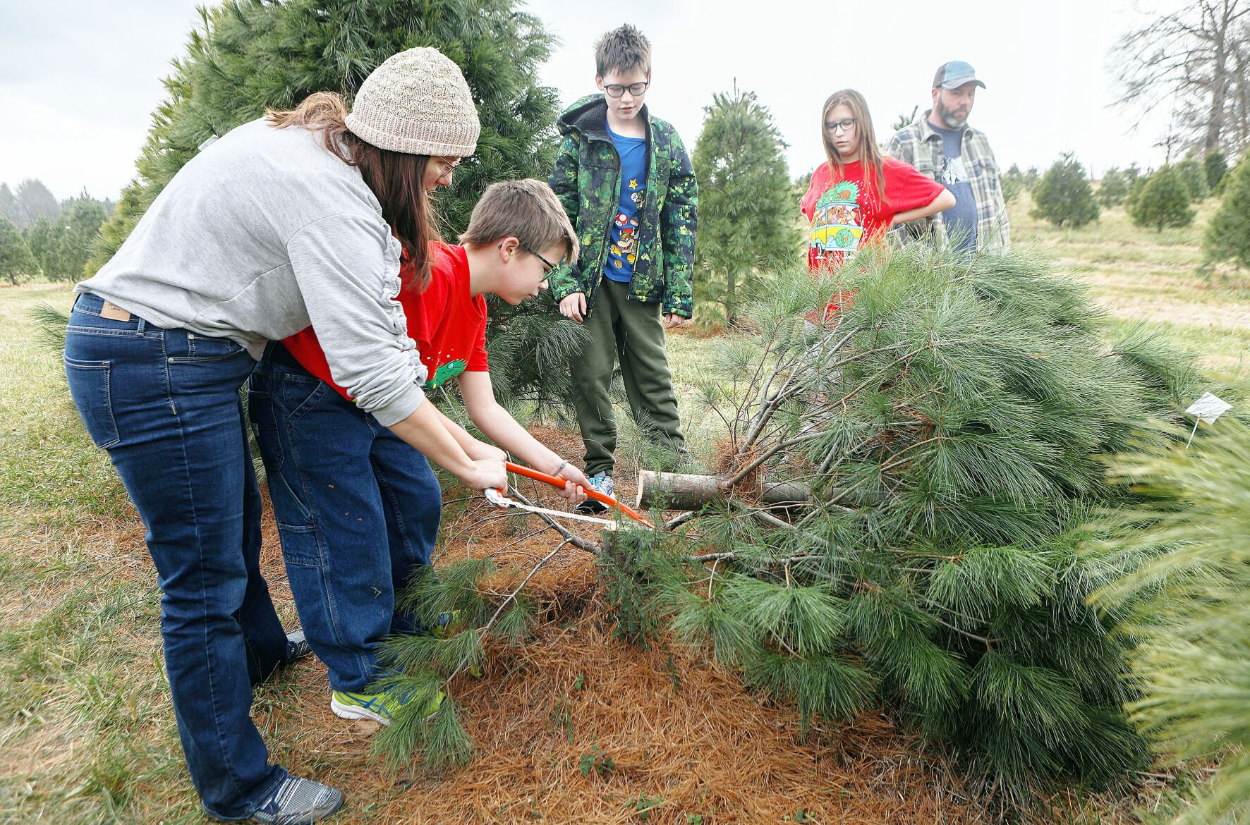 Christmas Tree Sales Booming For Local Tree Sellers Despite Higher ...