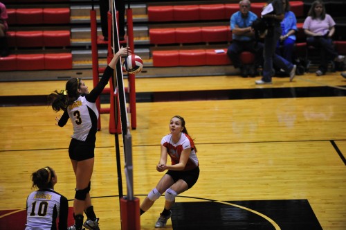 012SCSulDVB12.jpg
