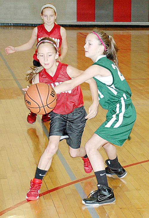 Basketball Fever