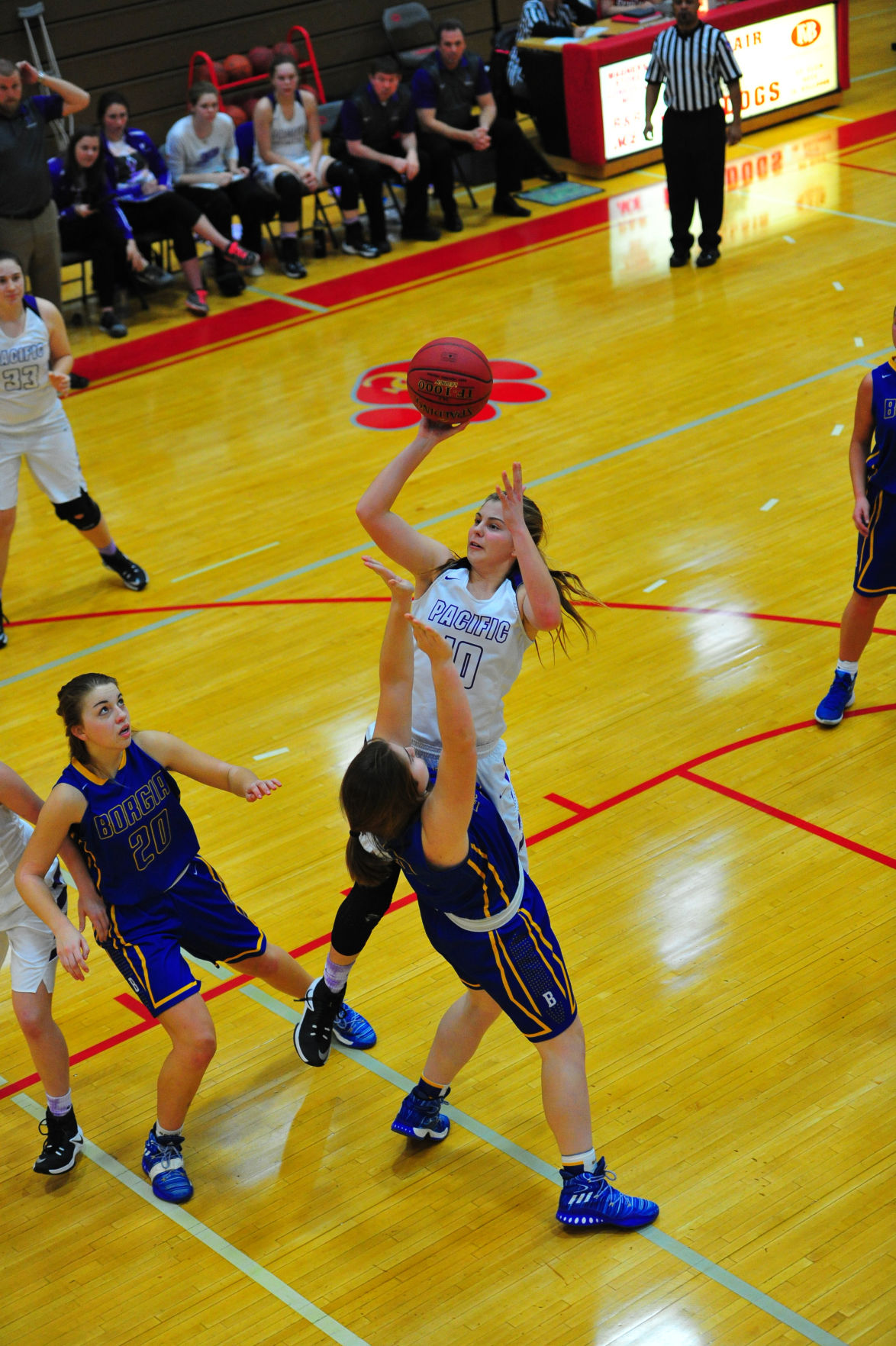 005PacBorDistGBB17.jpg
