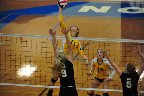 036whslafvb13.jpg
