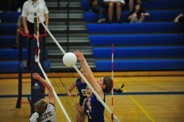 036HerTnyThuVB13.jpg