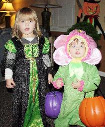 Willow Brooke Party