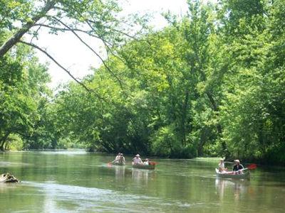 Cooling Off On The Niangua River Taste Of Travel Emissourian Com
