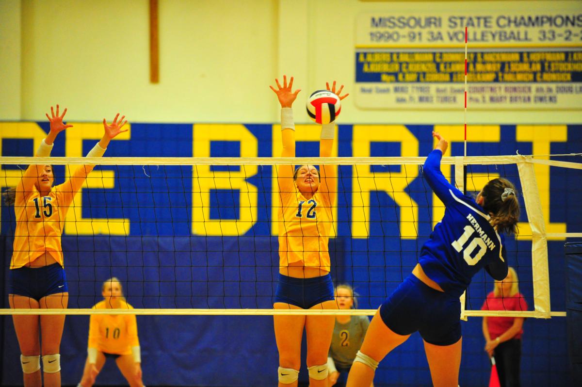 014HerBorVB17.jpg