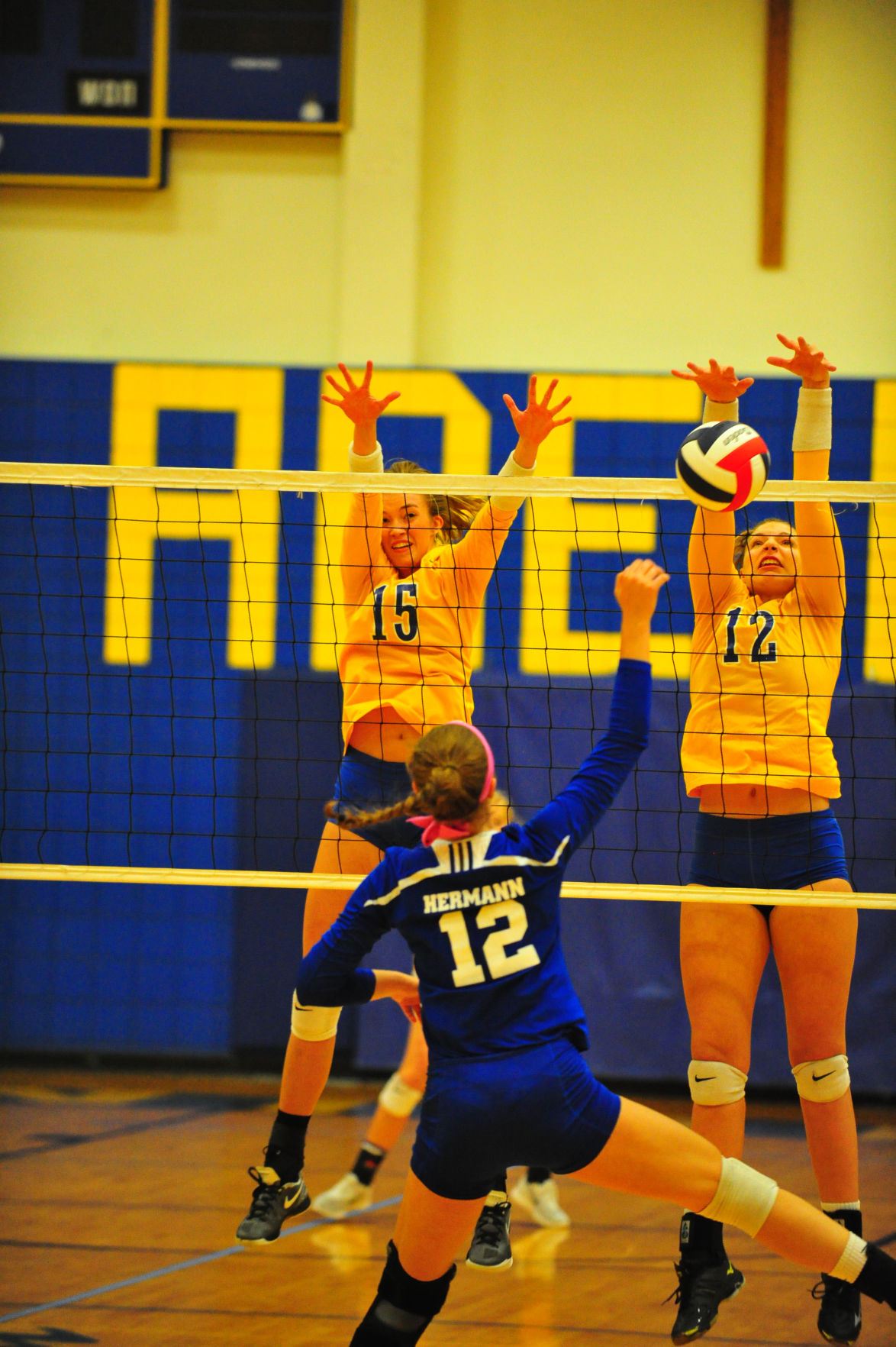 009HerBorVB17.jpg