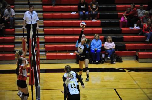 015SCSulDVB12.jpg