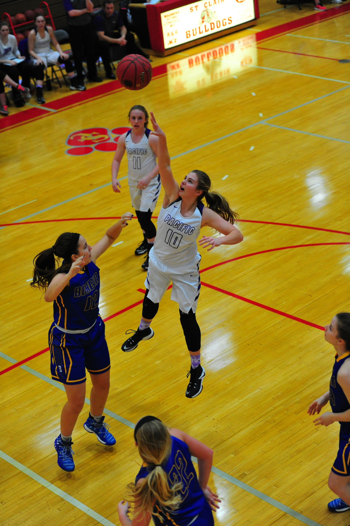 006PacBorDistGBB17.jpg