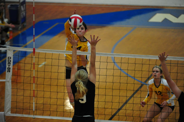 032whslafvb13.jpg