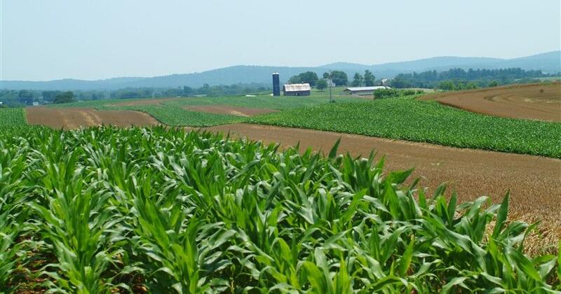 AITC grants available to Virginia educators for agricultural learning