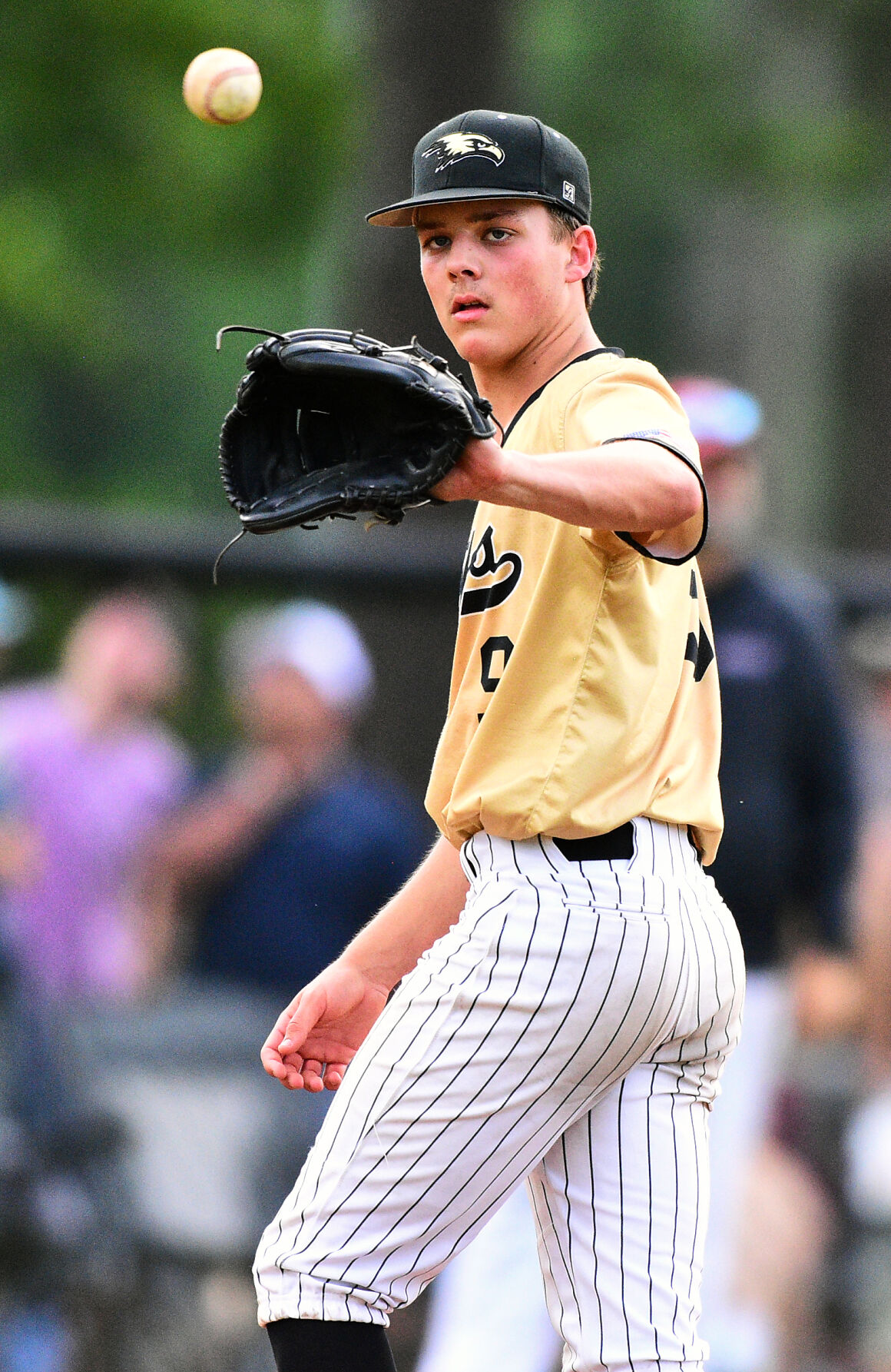 2024 Alabama All-State Baseball Team Announced: Hays, Murrell, Cook Secure Top Honors