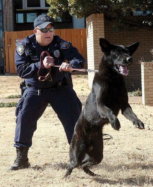 Black German Shepherd Newest K 9 Member Of Enid Police Department