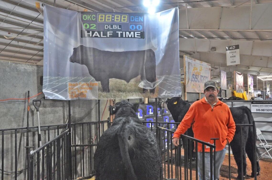 Cattlemen's Congress expands with more breeds, displays | Ag