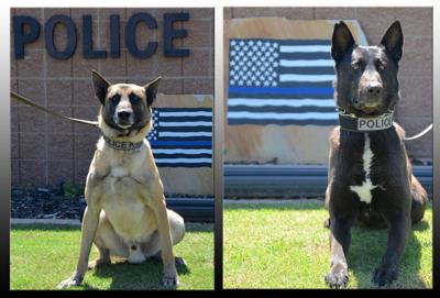 k-9 interest of letter donates charity vests EPD to protective K 9 National