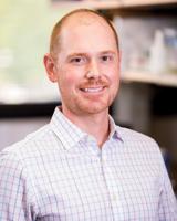 OMRF scientist receives VA grant for osteoarthritis, microbiome research