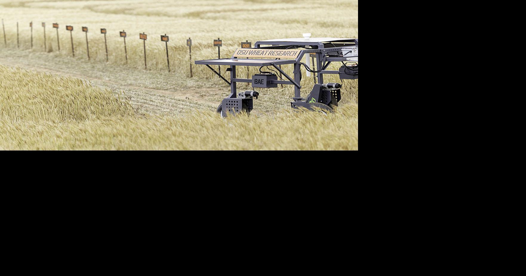 OSU Agriculture joins effort to make food healthier