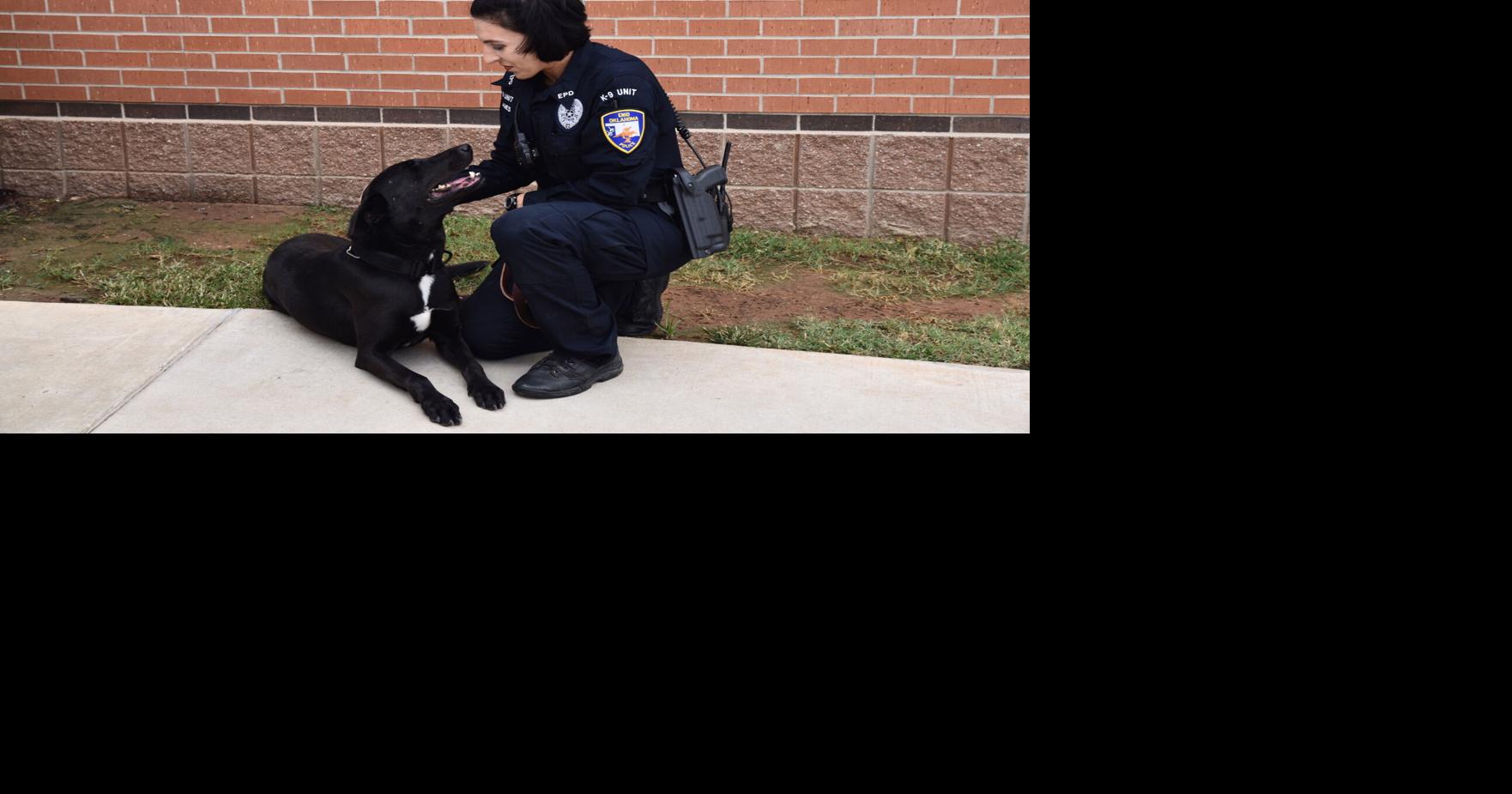 ‘He’ll always be my partner’: EPD mourns loss of K-9 | News | enidnews.com