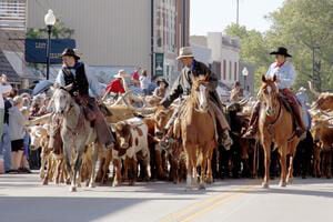 chisholm trail roundup lockhart