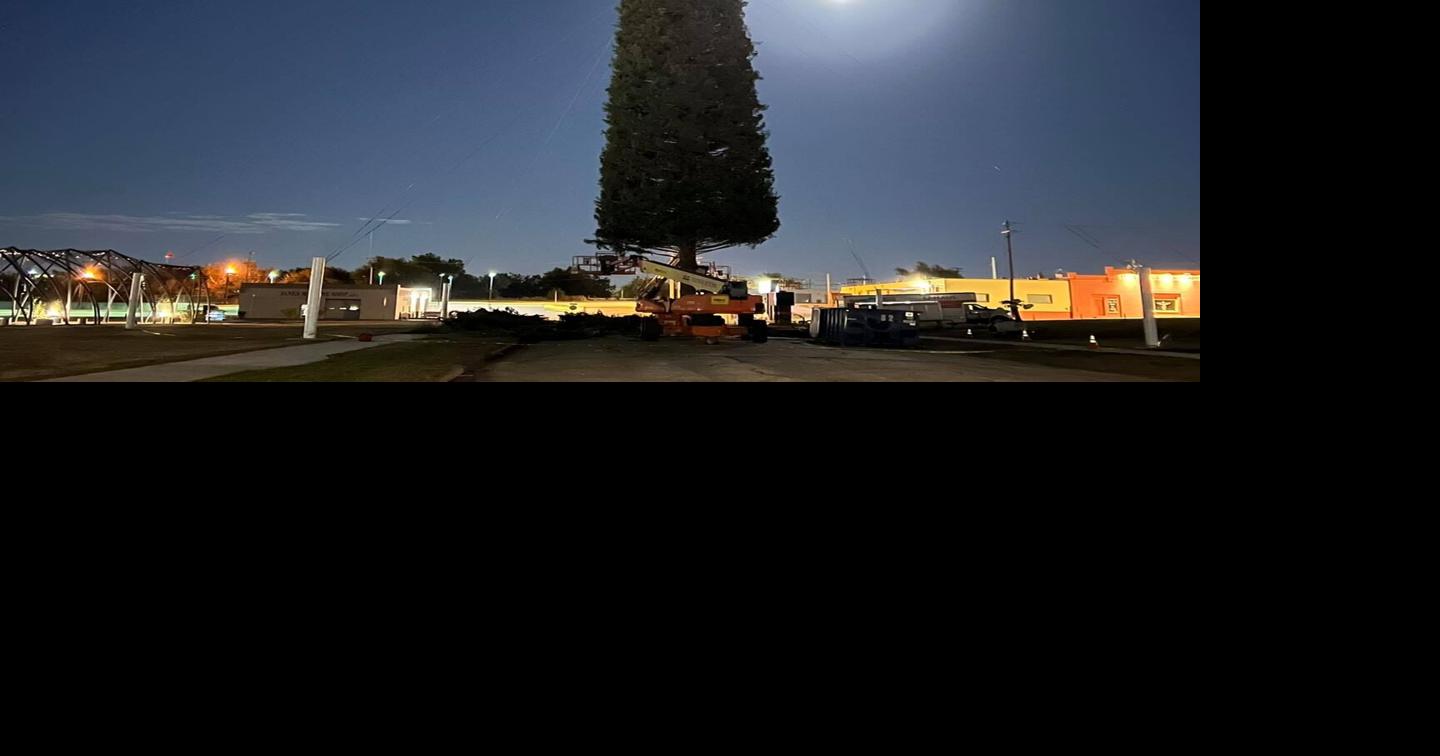 100 Enid families set to receive free, decorated Christmas trees from