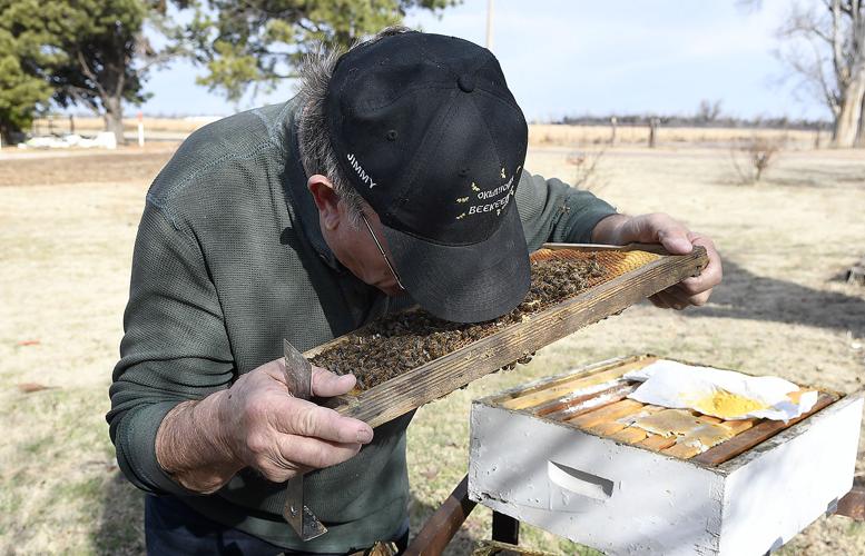 Beekeeping a healthy activity throughout Oklahoma Progress