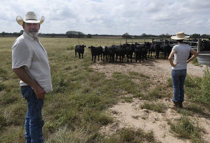 TLC Grassfed Beef: 'From conception to consumption' | News ...