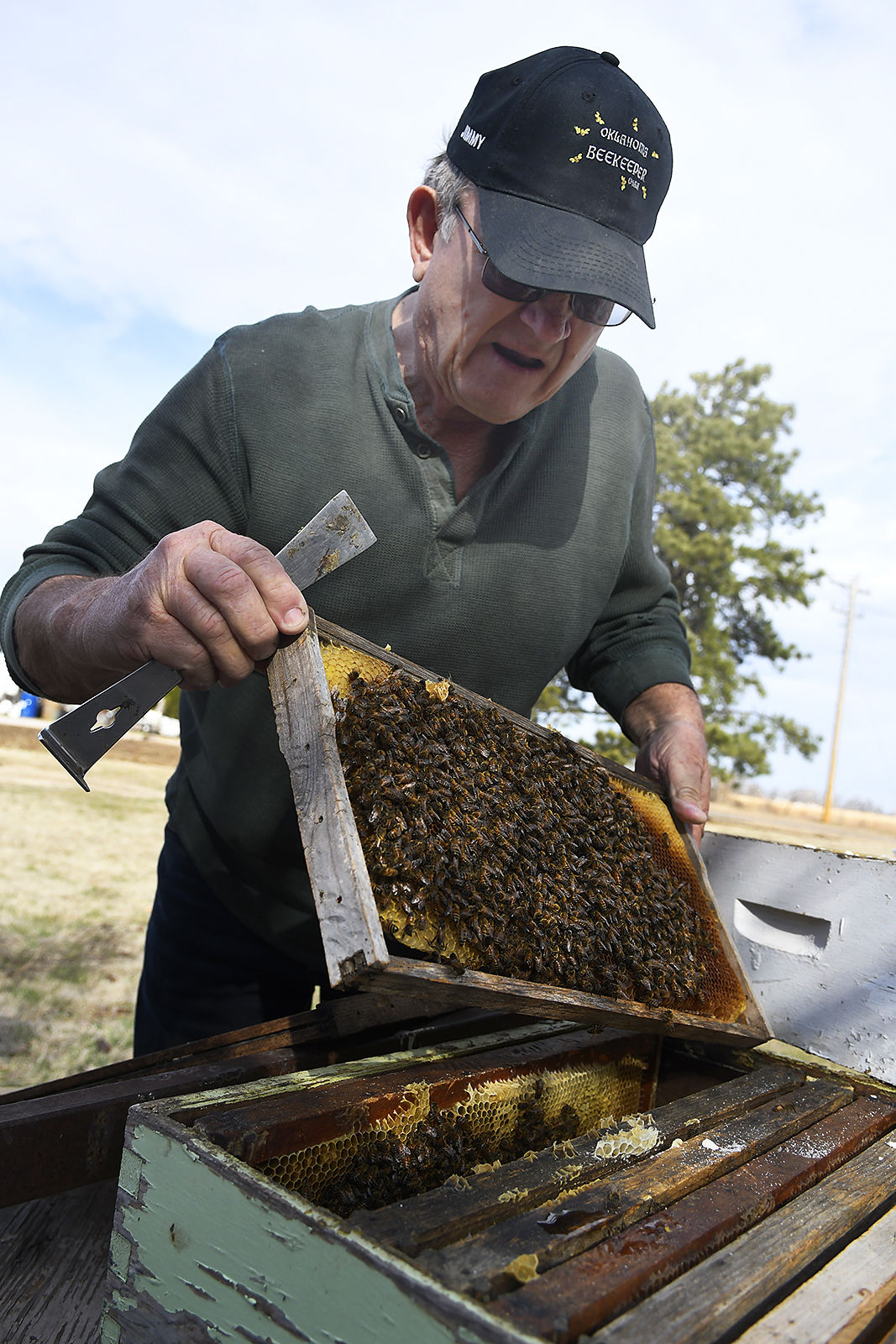 Beekeeping a healthy activity throughout Oklahoma Progress