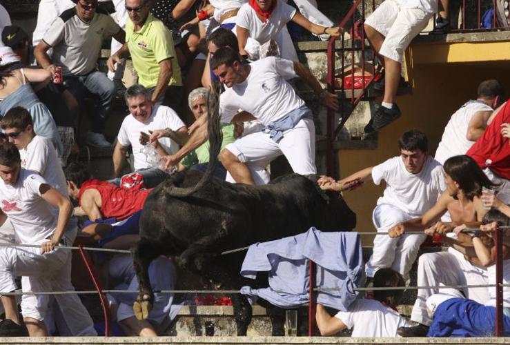 Bull leaps into bullring stands in Spain, 40 hurt