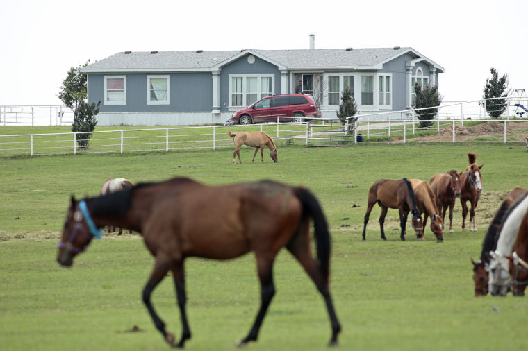 Horse man killed discount by drug cartel