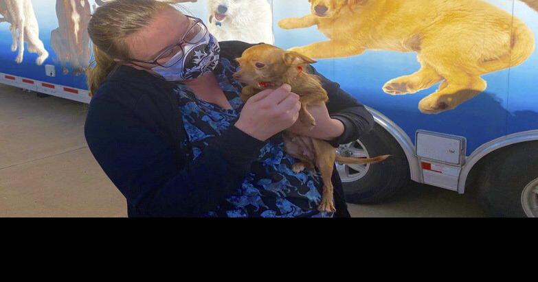 Enid SPCA, American Humane team up to send 23 dogs to ...