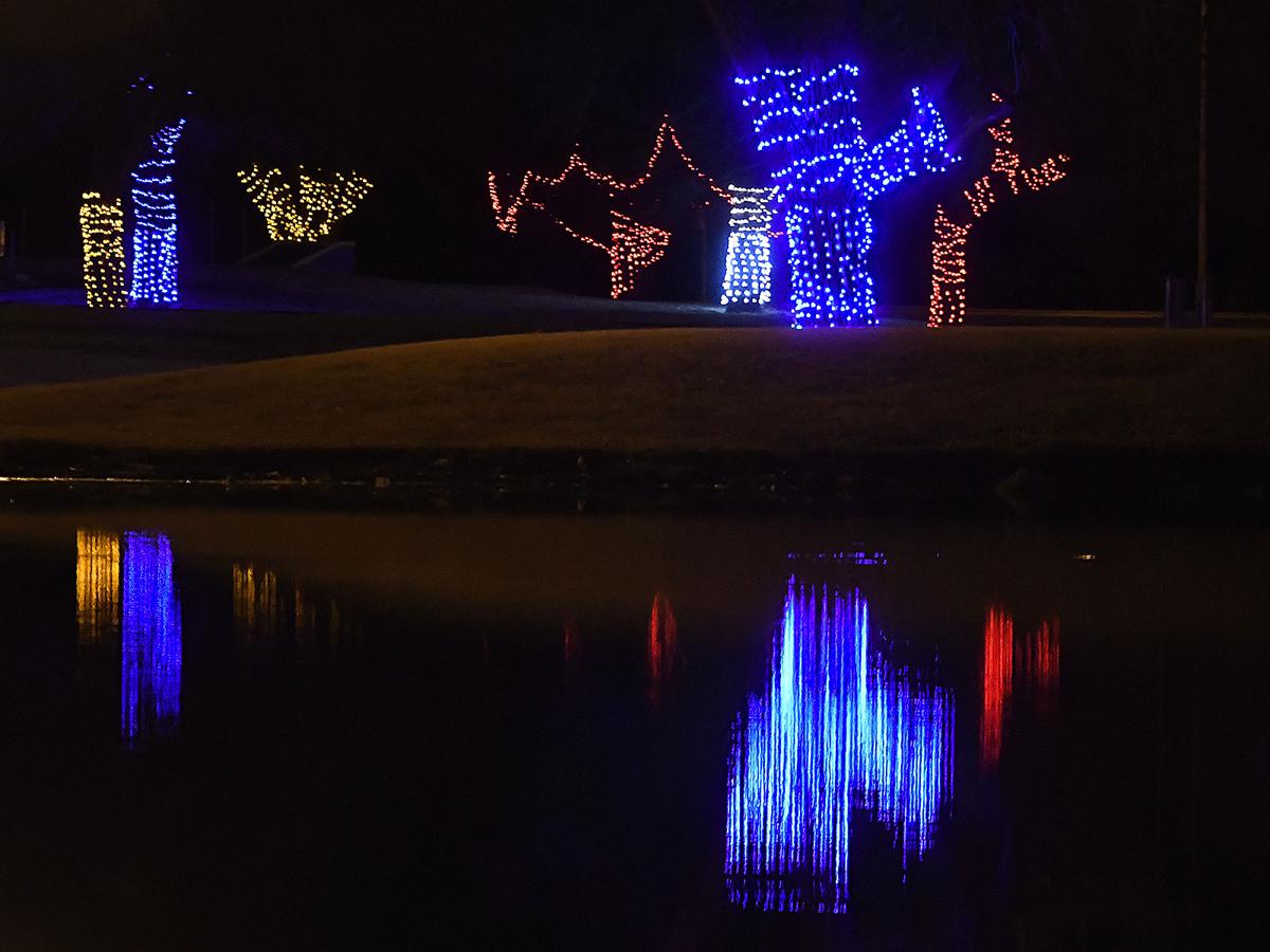 Christmas Lights Meadowlake 3 BH.jpg