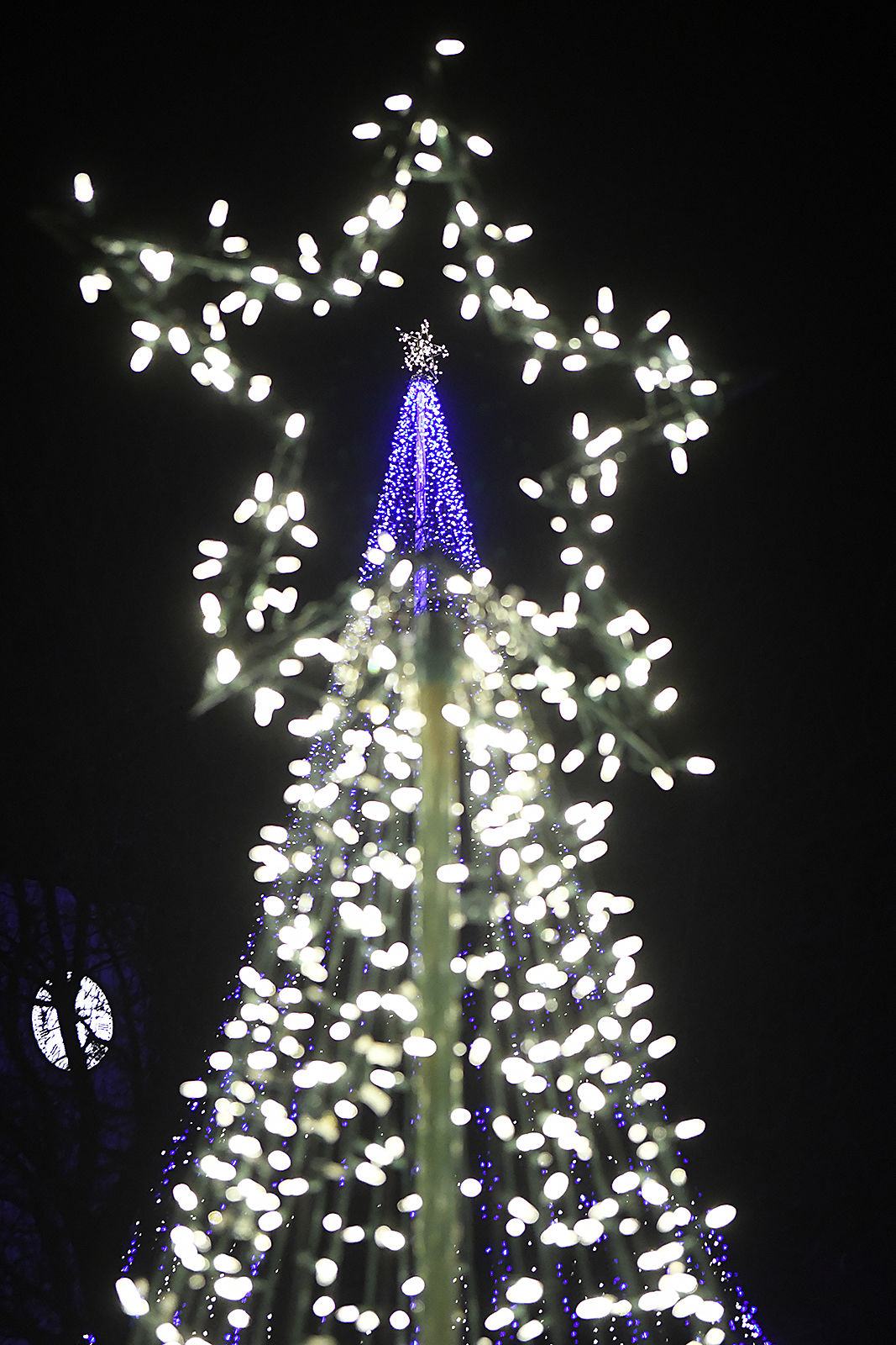 Christmas Lights 5 BH.jpg