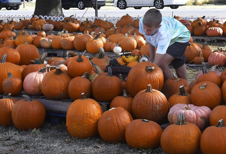 CUMC hosts annual pumpkin patch fundraiser | News | enidnews.com