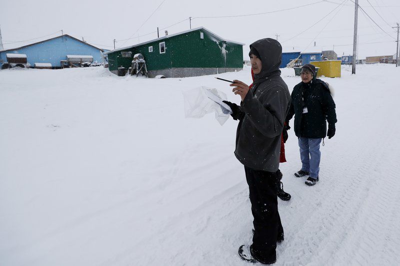 Essay on purchase of alaska
