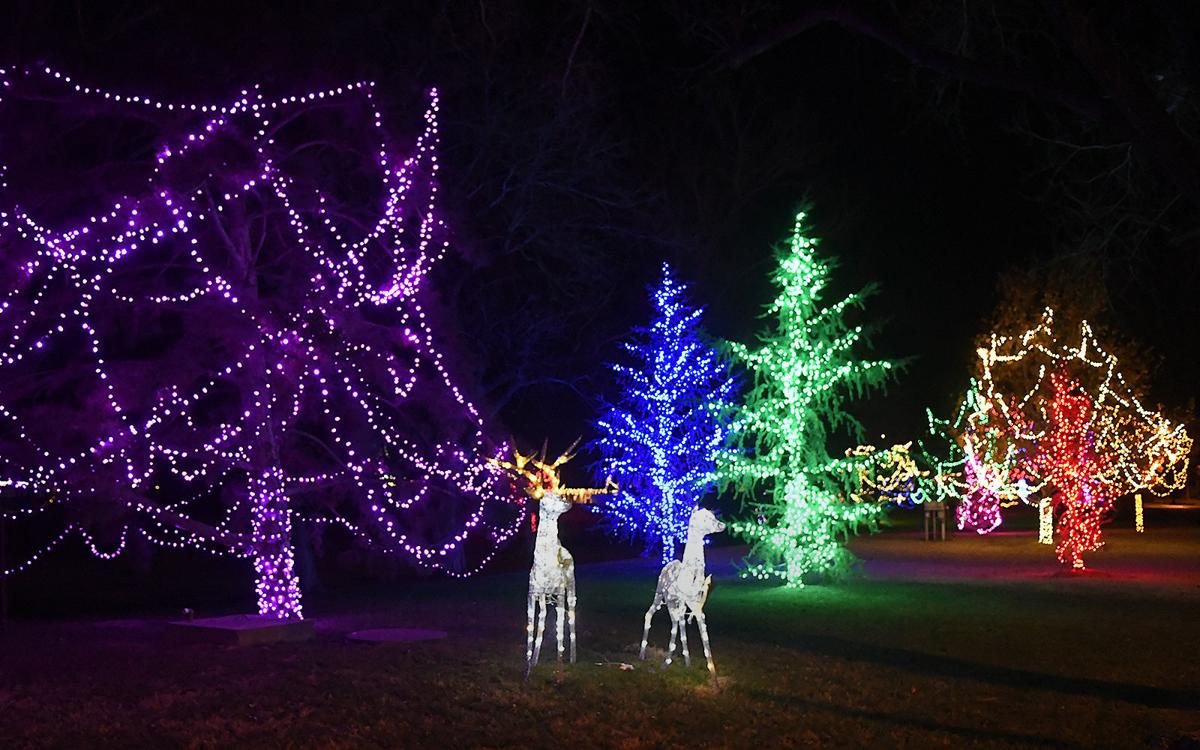 Christmas Lights In Enid Multimedia Enidnews Com