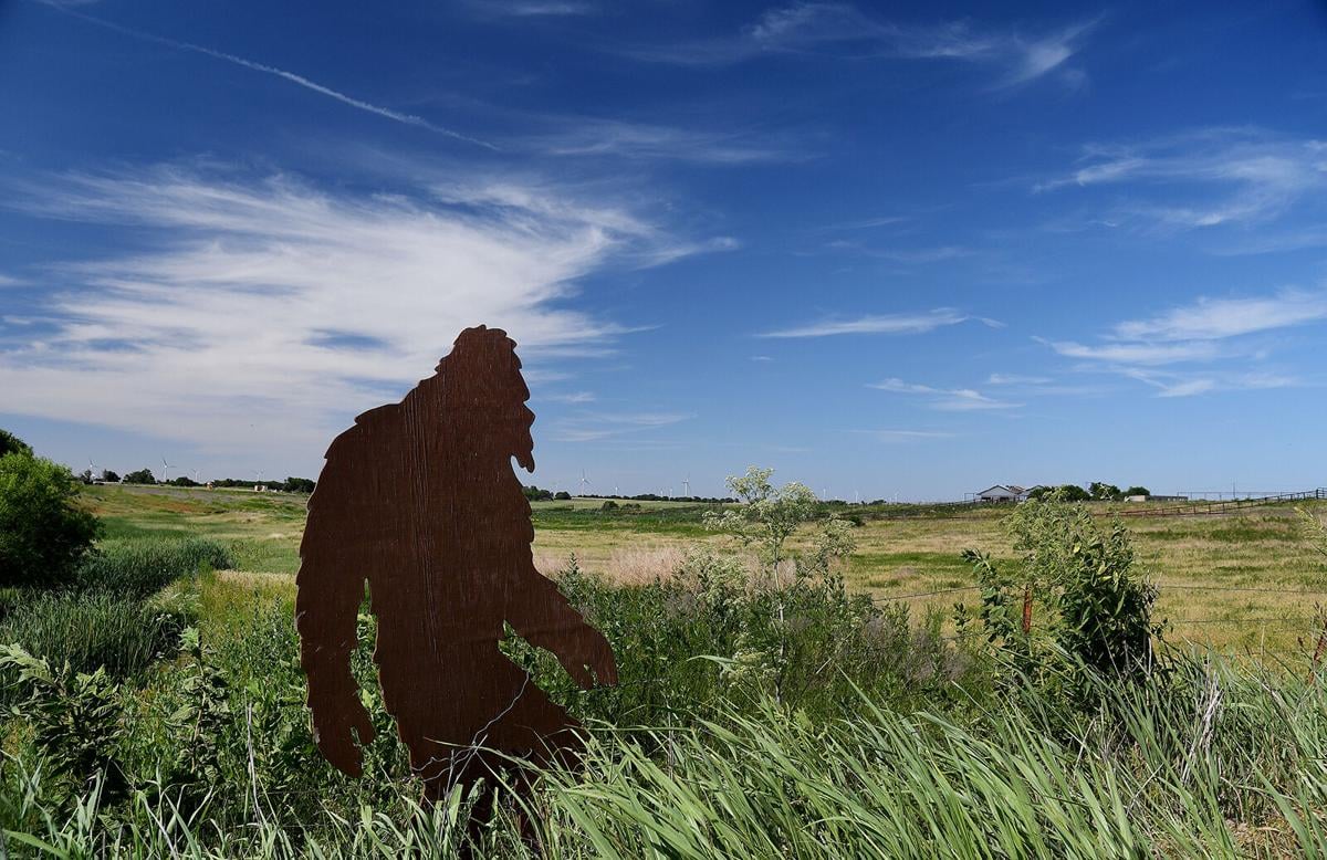 A Bigfoot hunting season in Oklahoma? Here's why a lawmaker filed