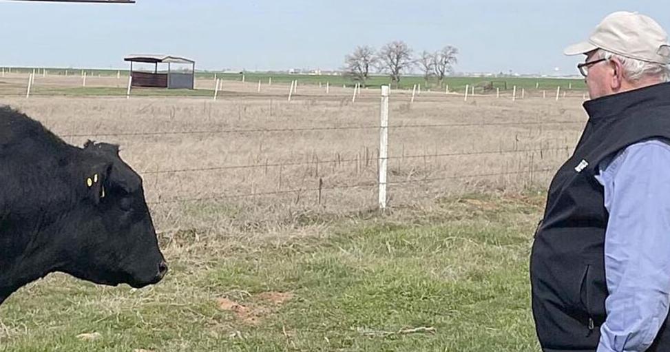 Beef experts unite at OSU to discuss future of cattle industry