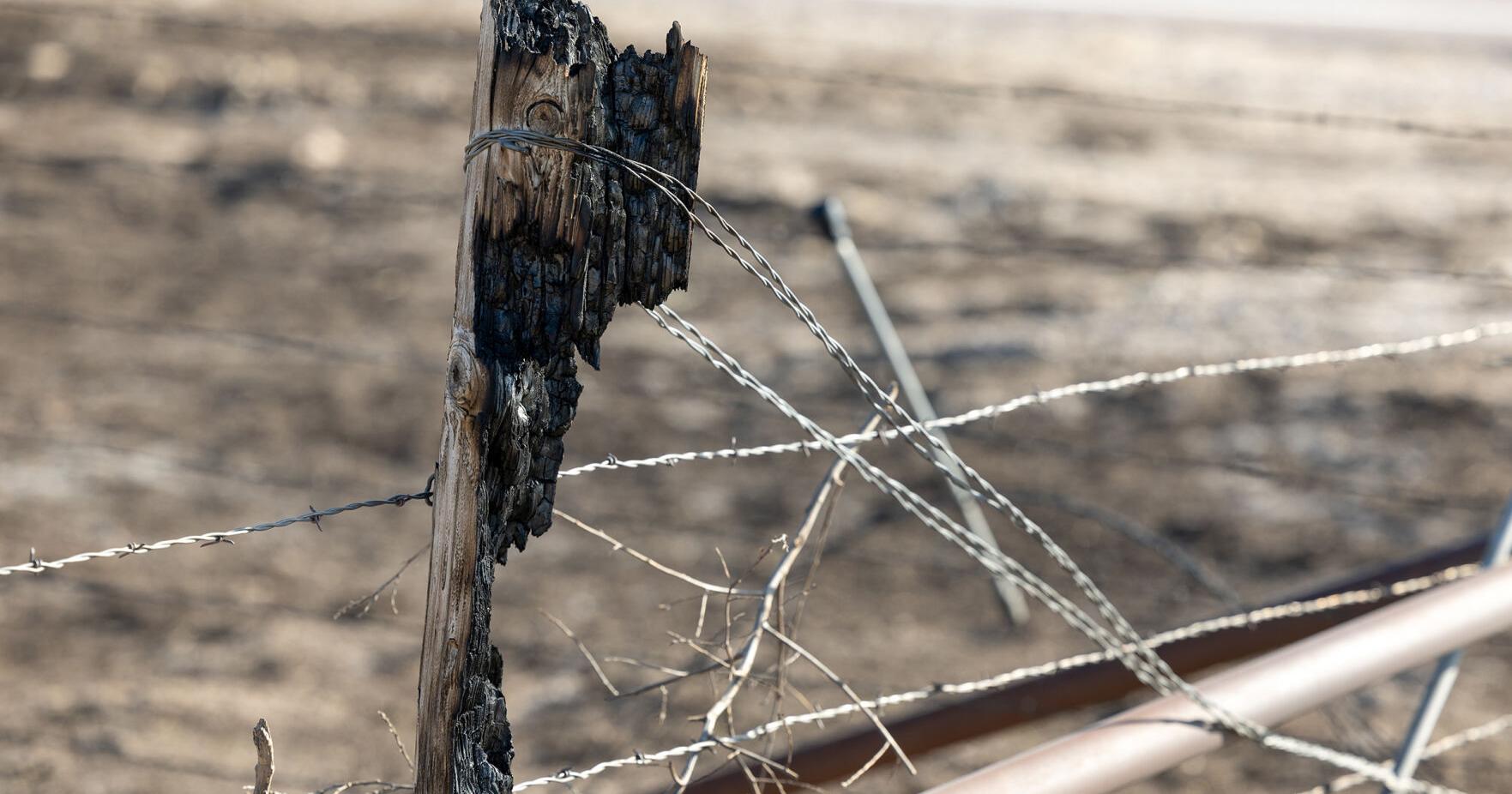 Western Oklahoma wildfire data reports significant loss to land, cattle and infrastructure - Vimarsana News