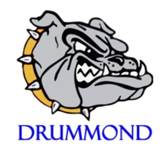 Drummond falls to Rock Creek in softball state tournament