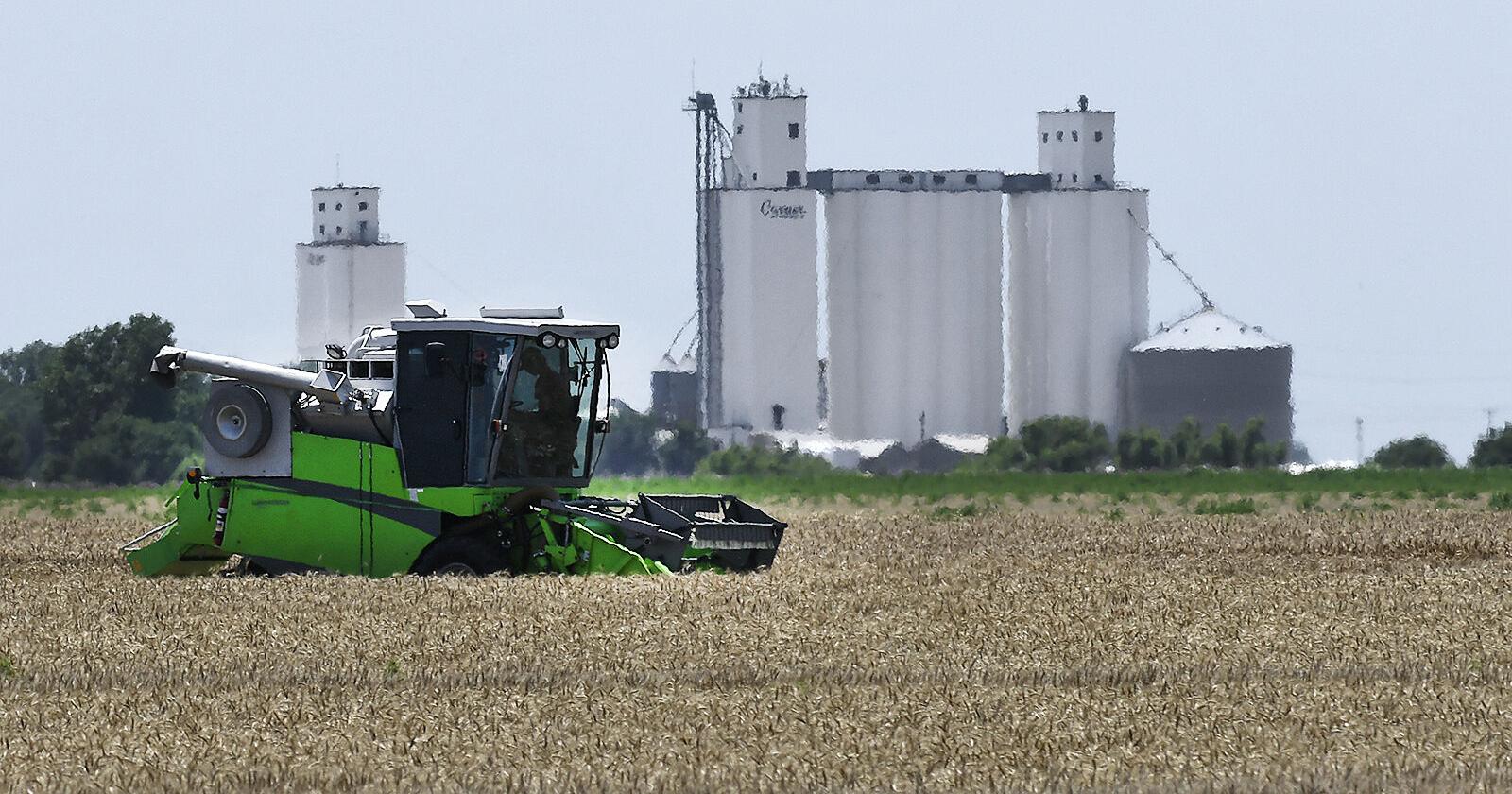 Rain chances flood state with wheat harvest delays - Vimarsana News