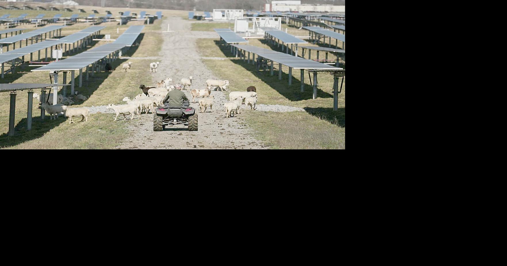 Farmers scramble after administration rolls back solar programs