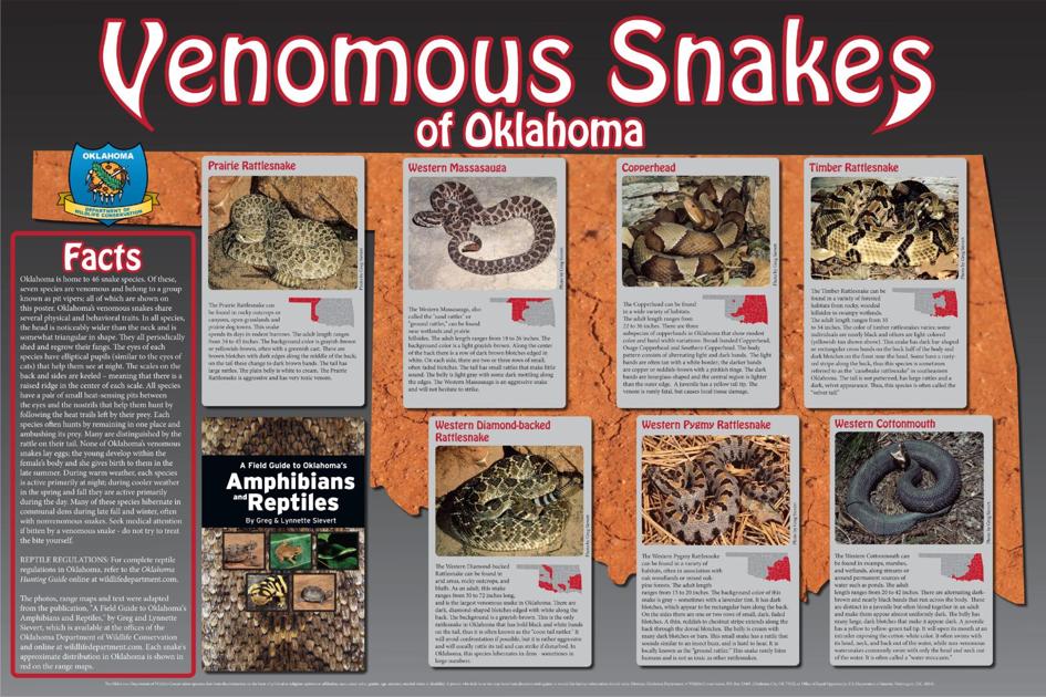 Venomous snakes in Oklahoma