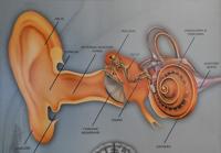 Progress Hearing 2 BH.jpg