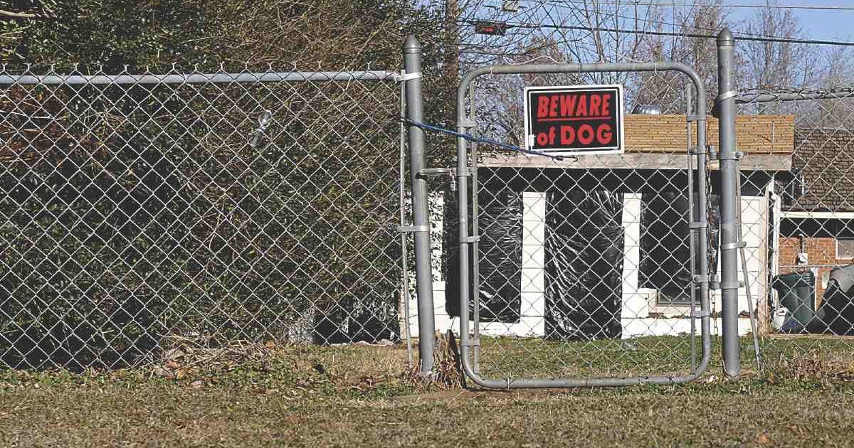 Cane Creek Park Nc Pit Bull Attack Boy recovering after pit bull attack | News | enidnews.com