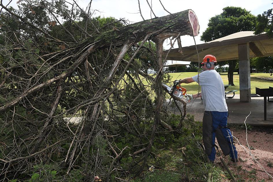 City to pick up downed tree limbs at no cost Community