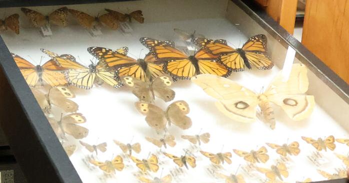 Northwestern Museum of Natural History grows with new donation - Vimarsana News