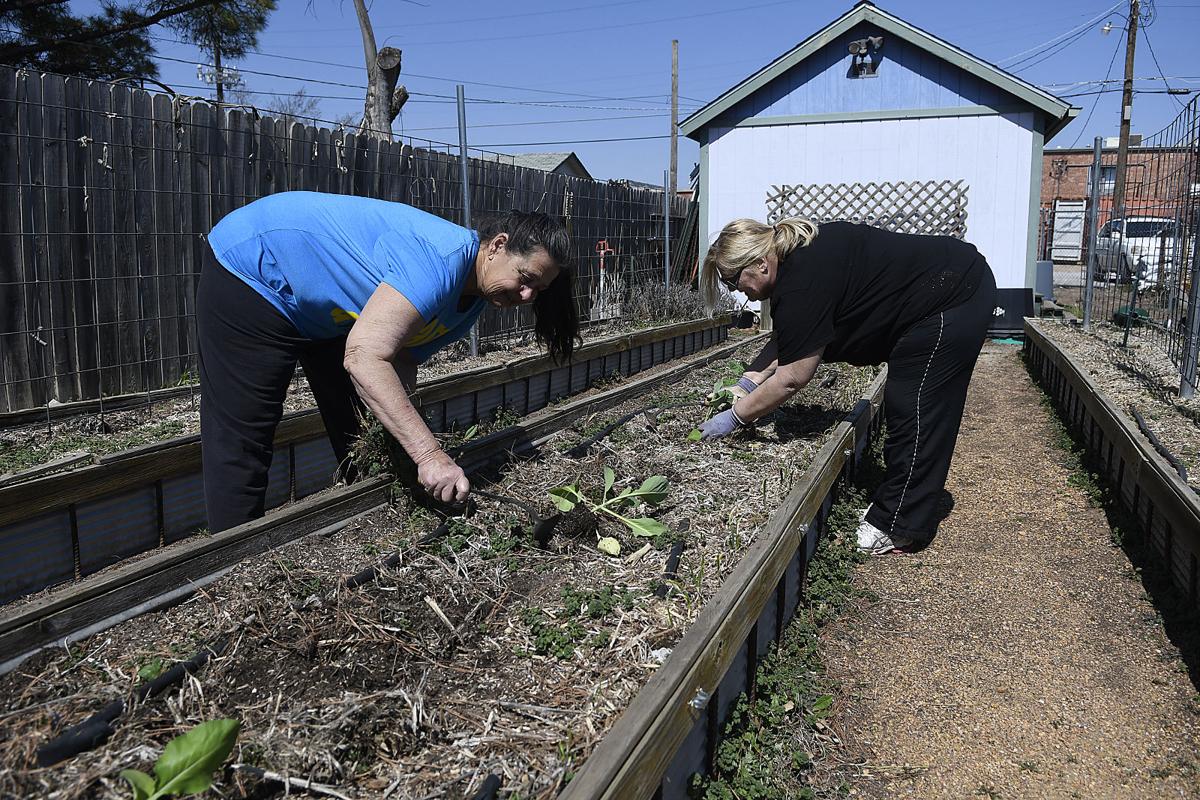 Faith Farm is improving education, and nutrition for Loaves and Fishes